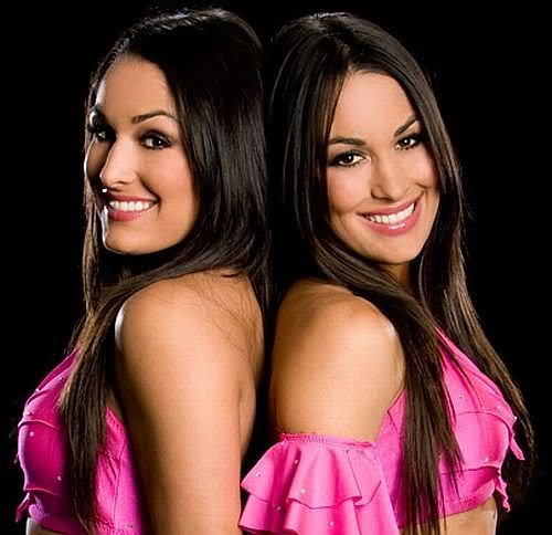 The Bellas Twins